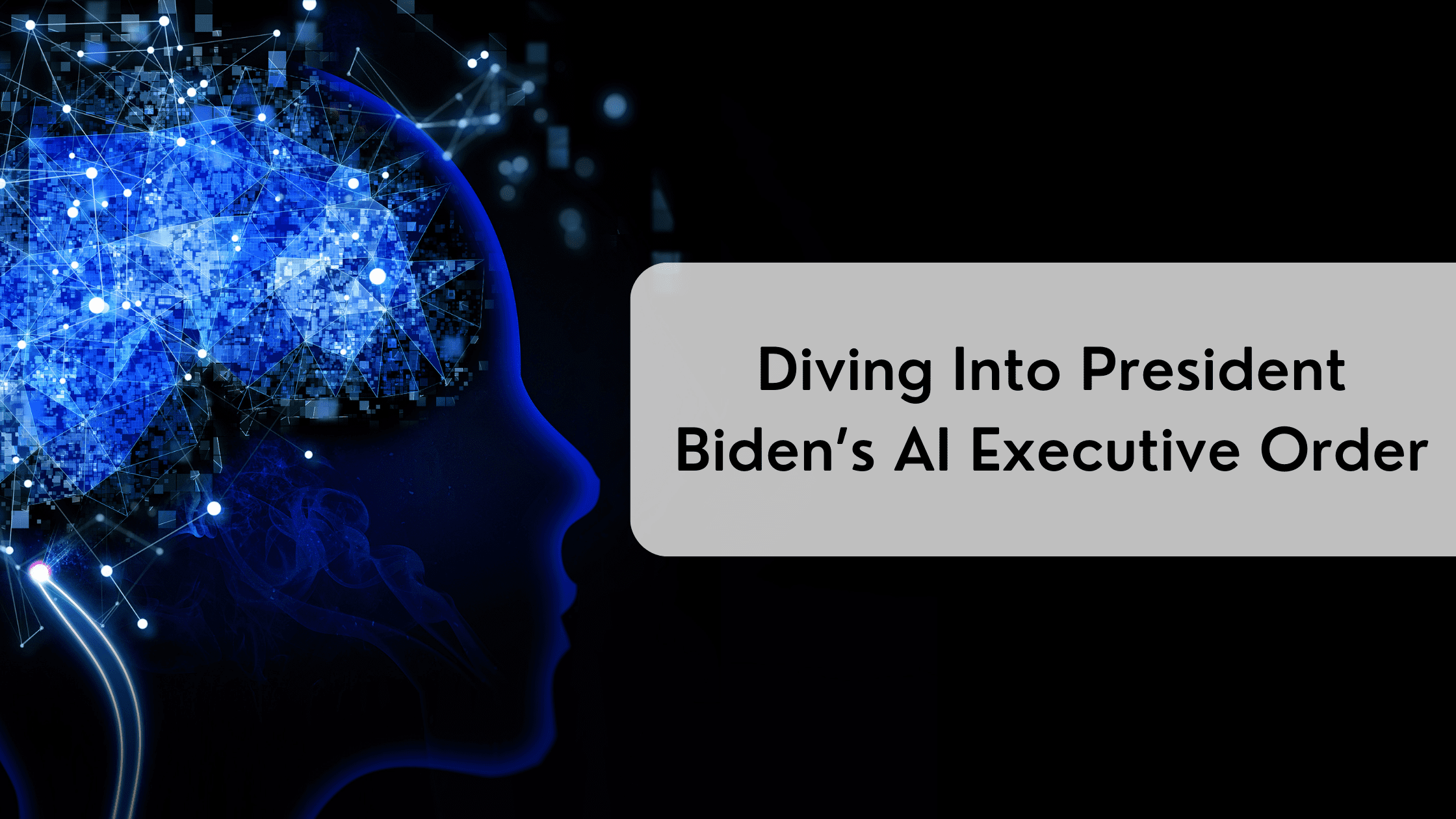 Diving Into President Biden’s AI Executive Order